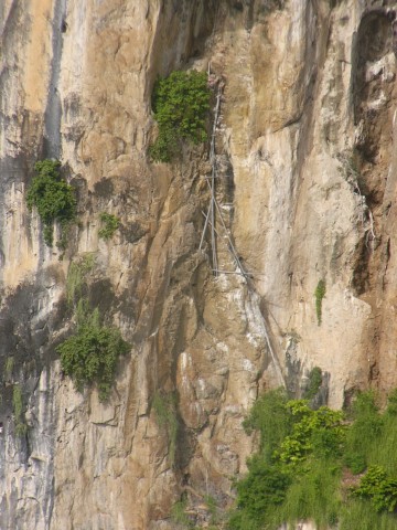 Ko Song Phi Nong ladder to bird nests